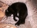 WP_20160617_004.jpg
